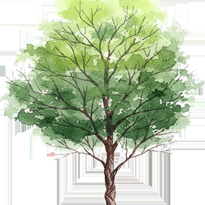 Add a reference image to guide the rendering and achieve unique results